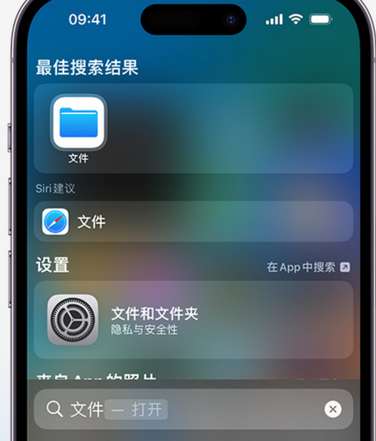 成县apple维修中心分享iPhone文件应用中存储和找到下载文件 