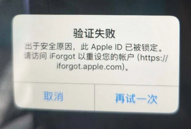 成县iPhone维修分享iPhone上正常登录或使用AppleID怎么办 