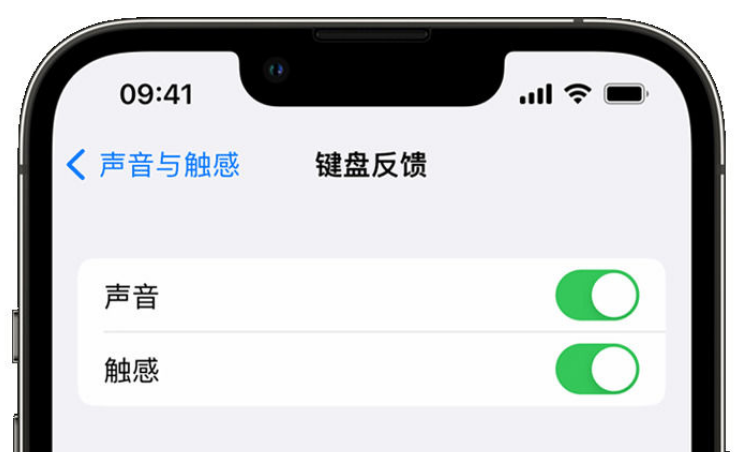 成县苹果手机维修分享iPhone 14触感键盘使用方法 