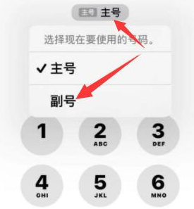 成县苹果14维修店分享iPhone 14 Pro Max使用副卡打电话的方法 