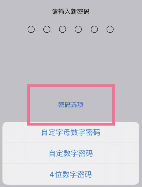 成县苹果14维修分享iPhone 14plus设置密码的方法 