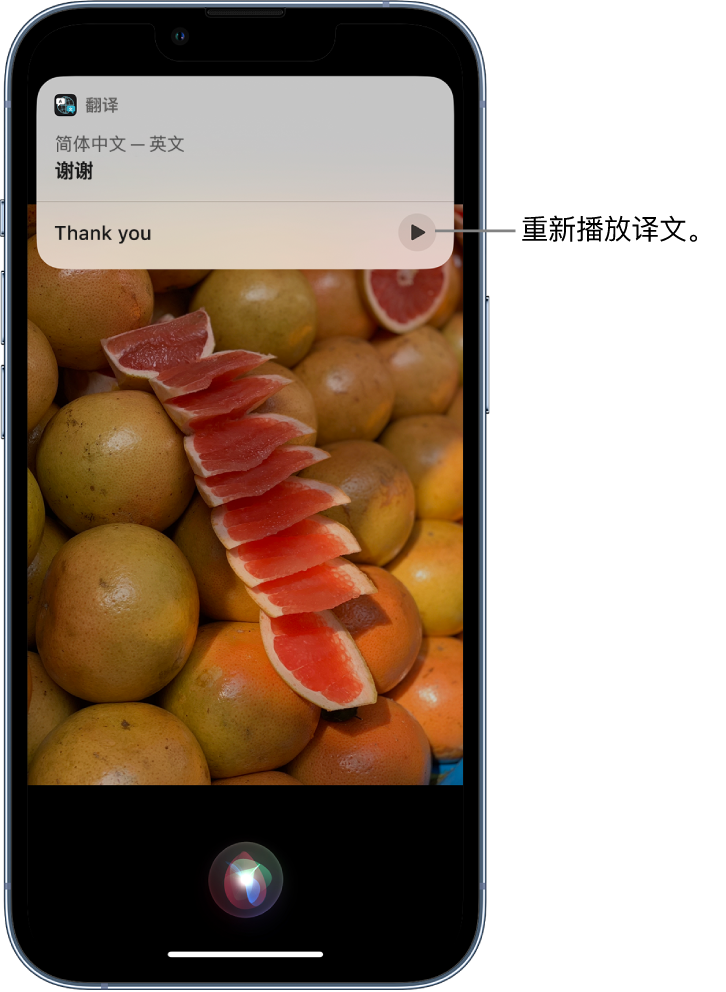 成县苹果14维修分享 iPhone 14 机型中使用 Siri：了解 Siri 能帮你做什么 