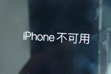 成县苹果服务网点分享锁屏界面显示“iPhone 不可用”如何解决 