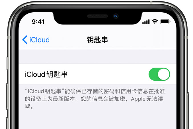 成县苹果手机维修分享在 iPhone 上开启 iCloud 钥匙串之后会储存哪些信息 