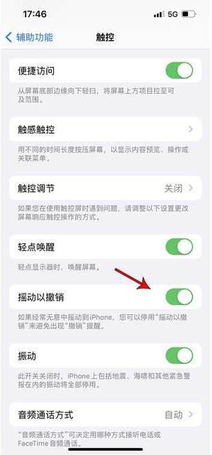 成县苹果手机维修分享iPhone手机如何设置摇一摇删除文字 